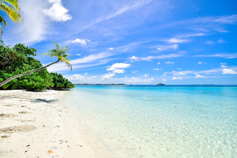 Beach and Cruising